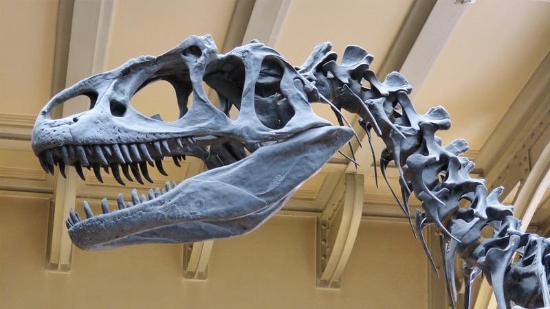 Dinosaur National Monument, USA