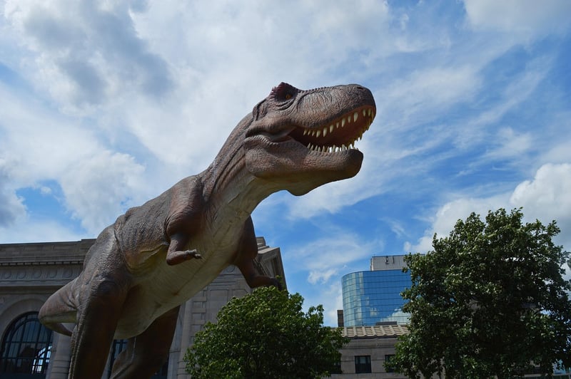 Zigong Dinosaur Museum, China